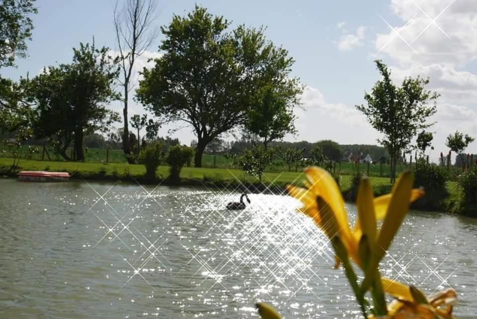 Gite canard Fromelles Exterior foto