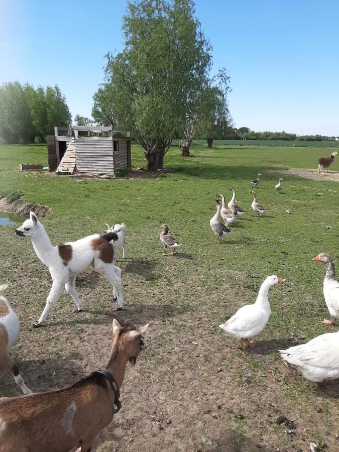 Gite canard Fromelles Exterior foto